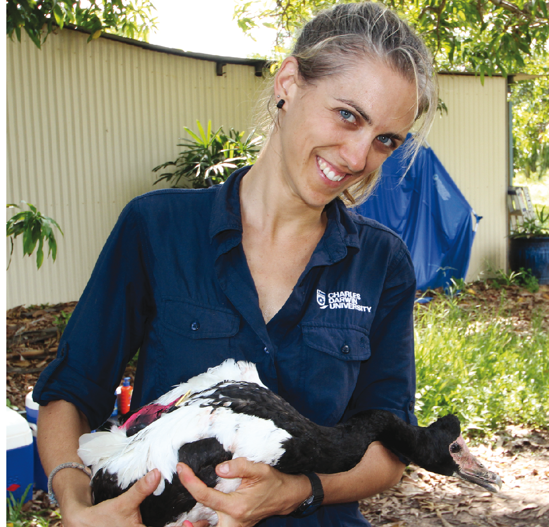 Charles Darwin University PhD student Amélie Corriveau with a Magpie Goose. Photo credit: Damien Stanioch.