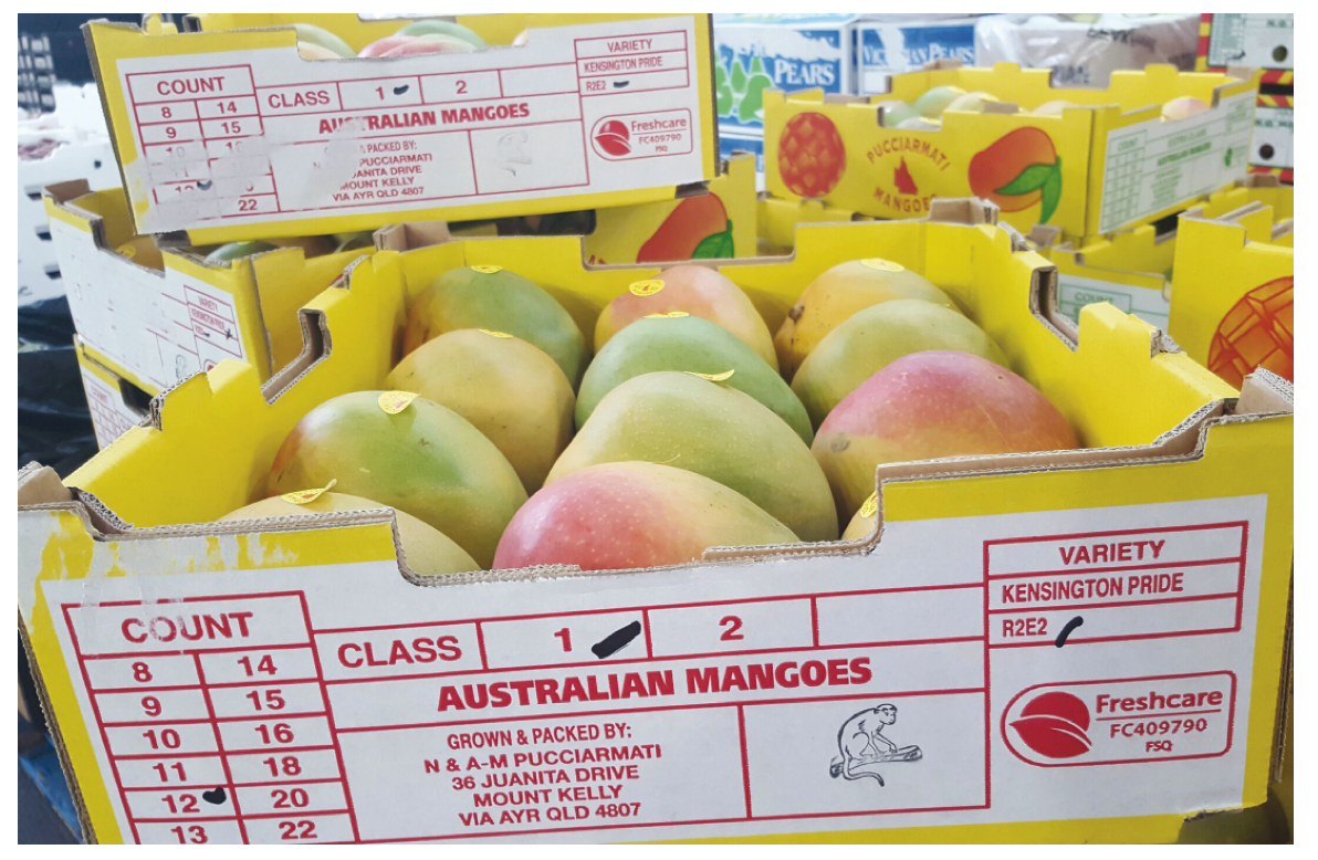 Mangoes in a Freshcare accredited tray.