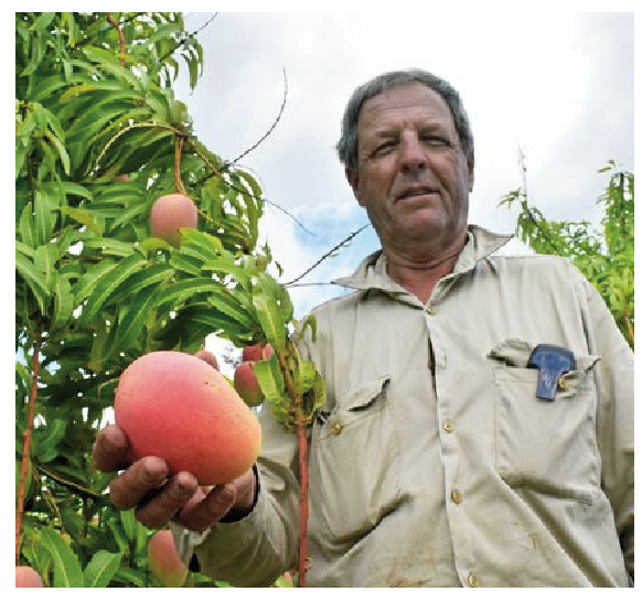 Grower Derek Foley was profiled in the Bundaberg NewsMail (photo courtesy of the NewsMail).