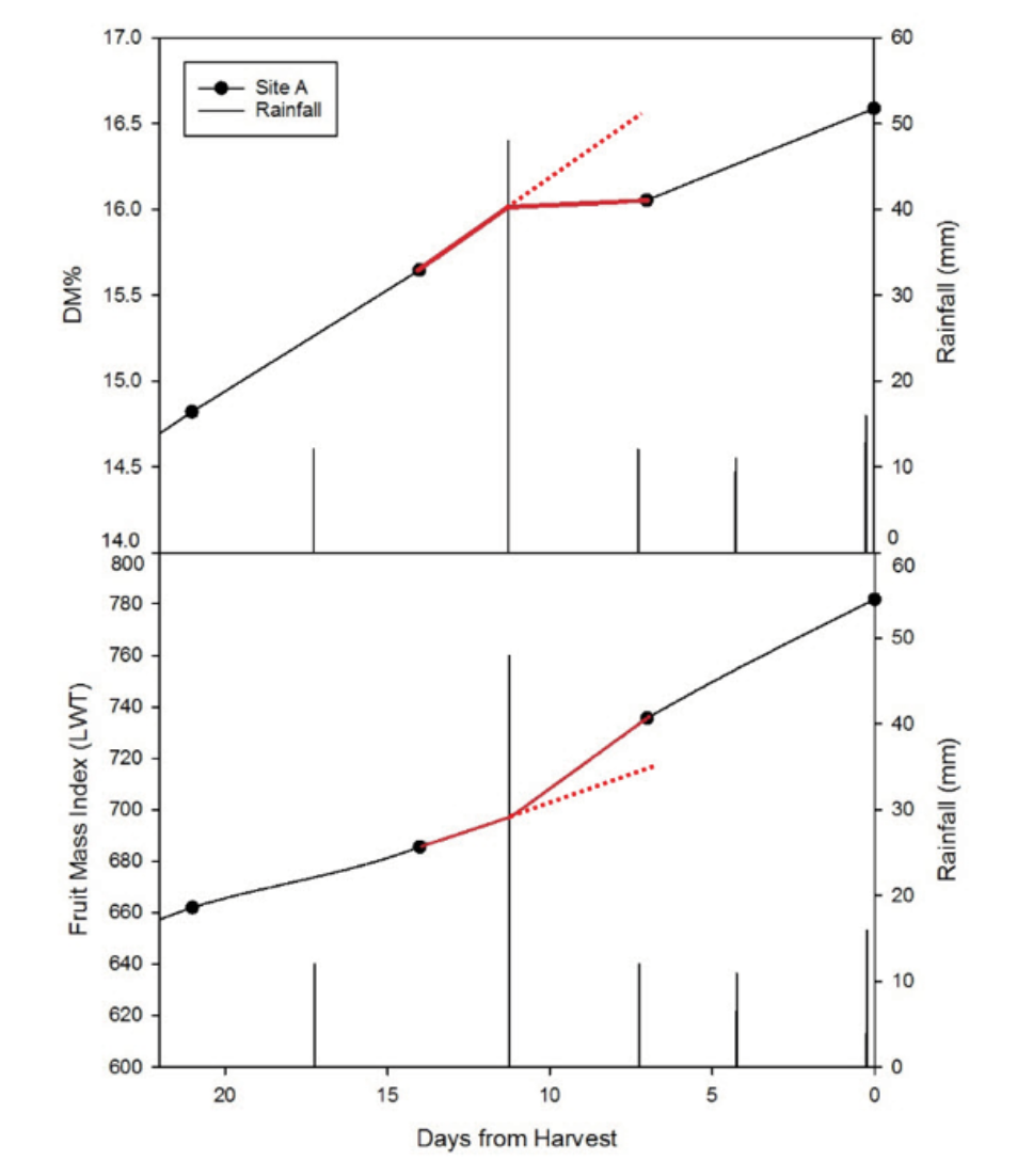 Figure 3. An example from 2016: a 50 mm rain event resulted in a decrease in the rate of DM increase in the fruit, and an increase in the size of the fruit.