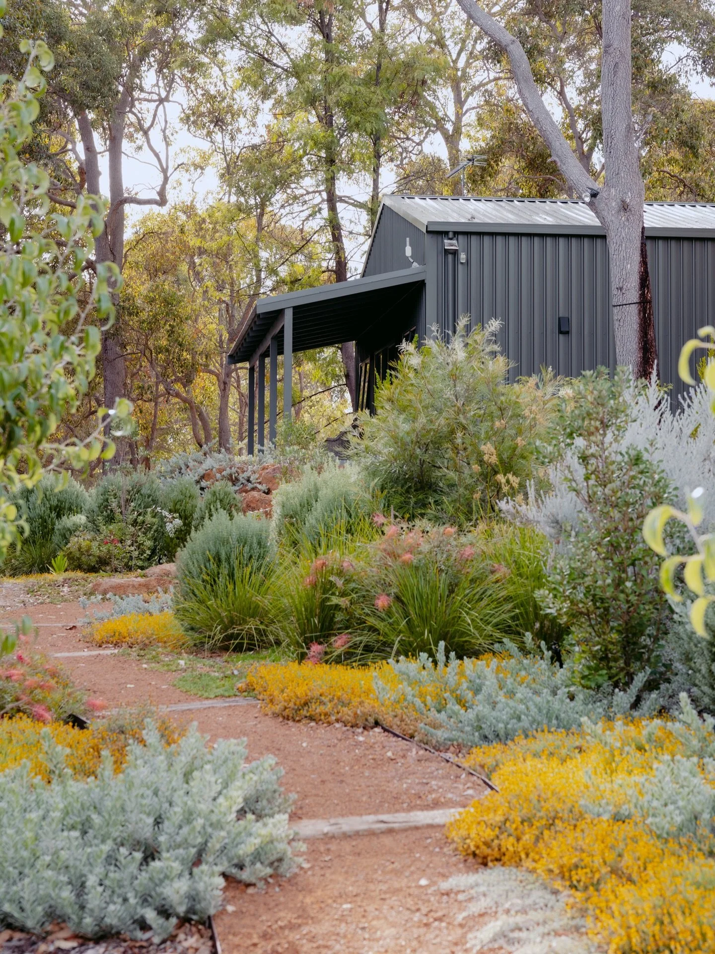 A little sneak peek of how my day started 🌿

Honestly @goodbatchco____landscape your garden creations are beyond magical. I could have walked around this Dunsborough garden all day long. Obsessed with it all!