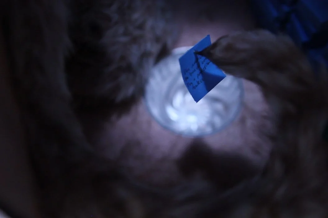 feed_05a_01_X1_0003.jpg