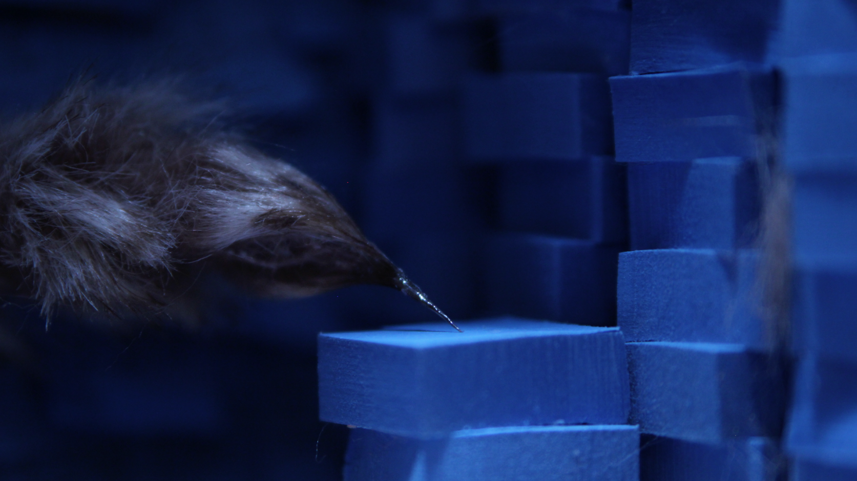 Screen Shot 2014-07-01 at 4.01.43 pm.png