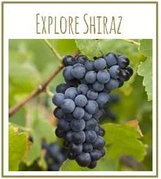 Explore Shiraz Masterclass