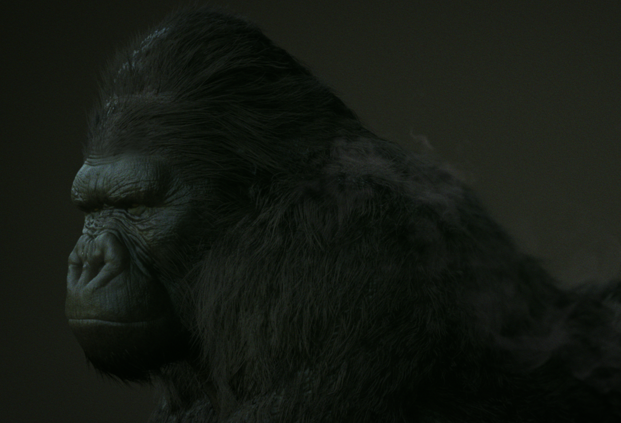 gorilla_WB_v13.png