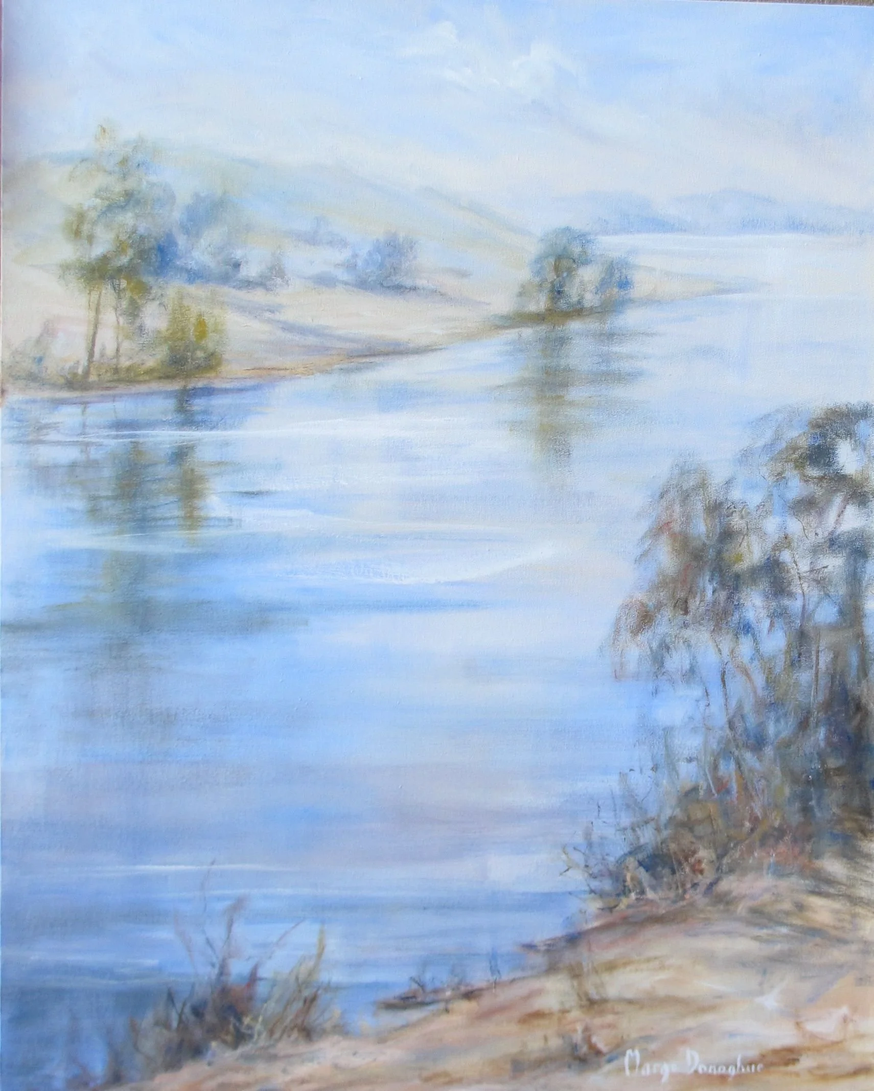'Foreshore Brisbane River'