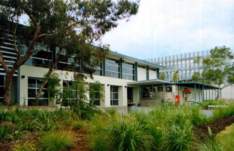 Burwood Cafe 1.jpg