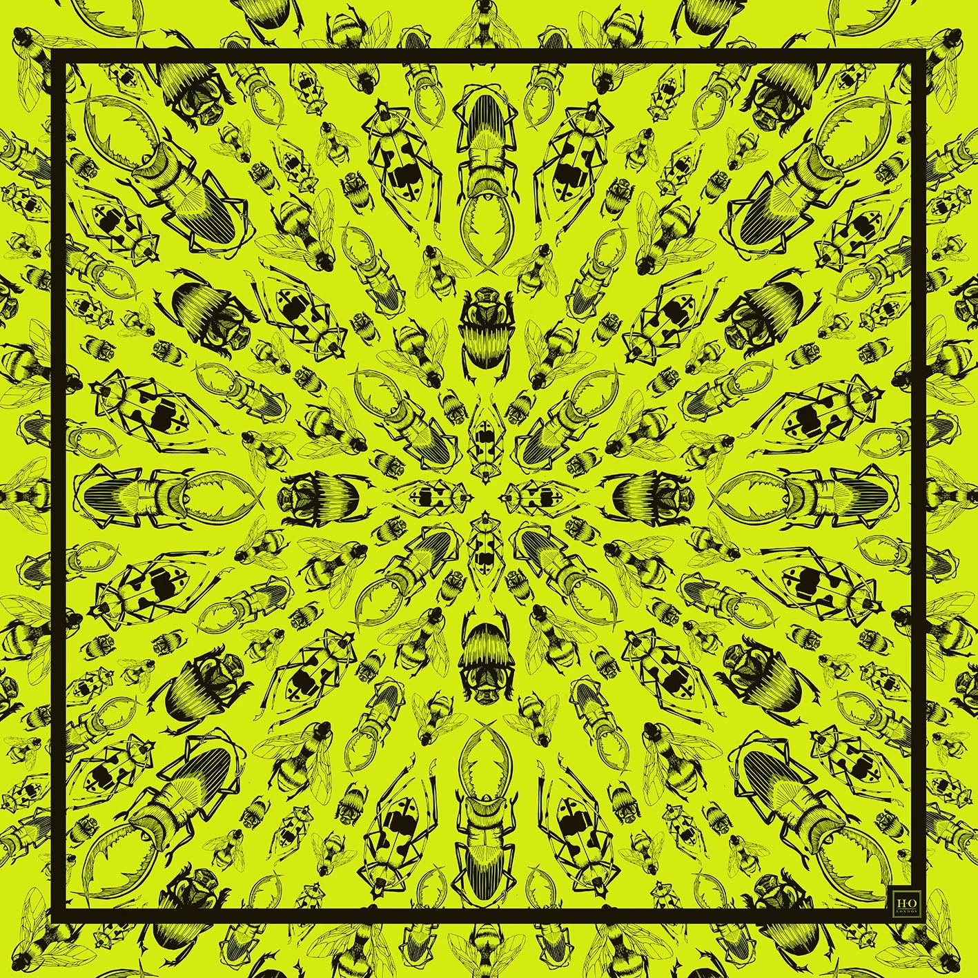 LIME.jpg