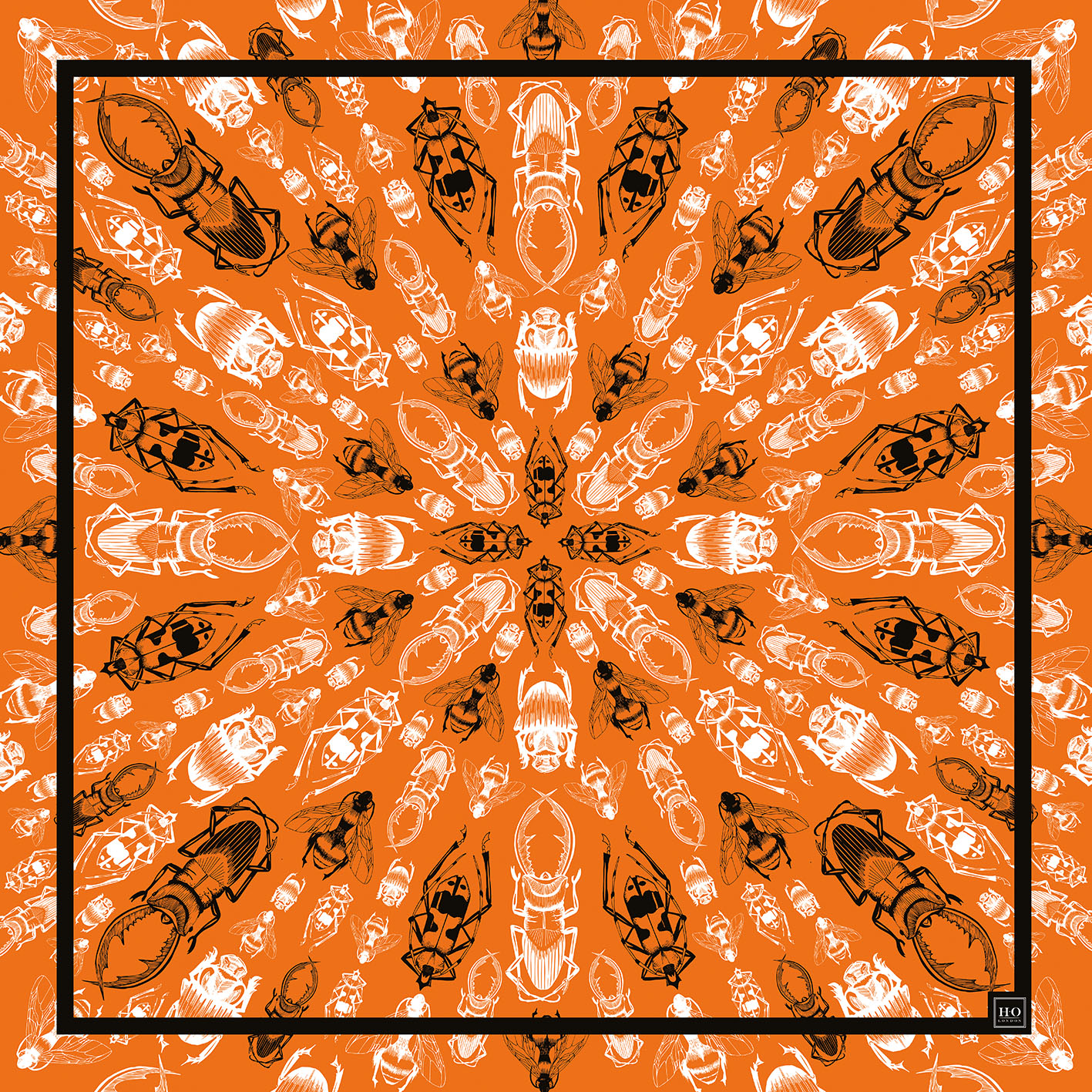 ORANGE.jpg