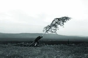 The Virgin Spring (1960) Dir. Ingmar Bergman