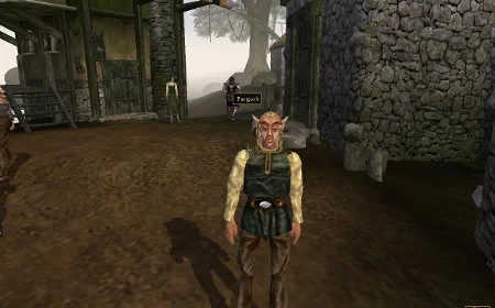 Elder Scrolls III: Morrowind (2002) by Bethesda Game Studios