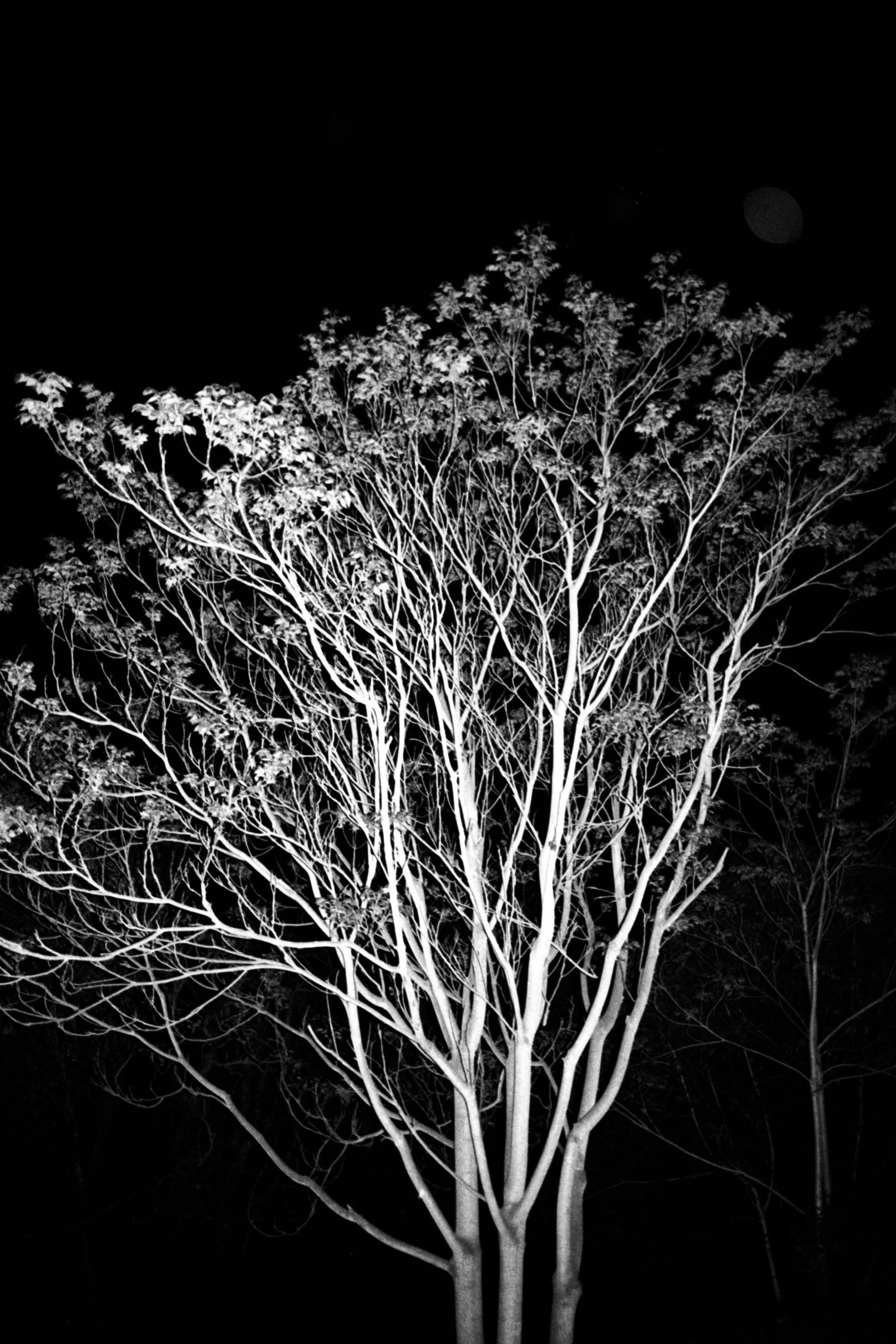 A poetic journey_Geert Broerjes-11.jpg