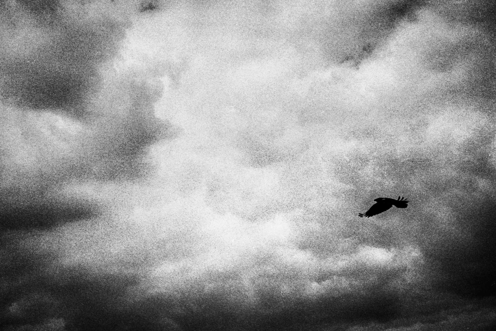 A poetic journey_Geert Broerjes-20.jpg