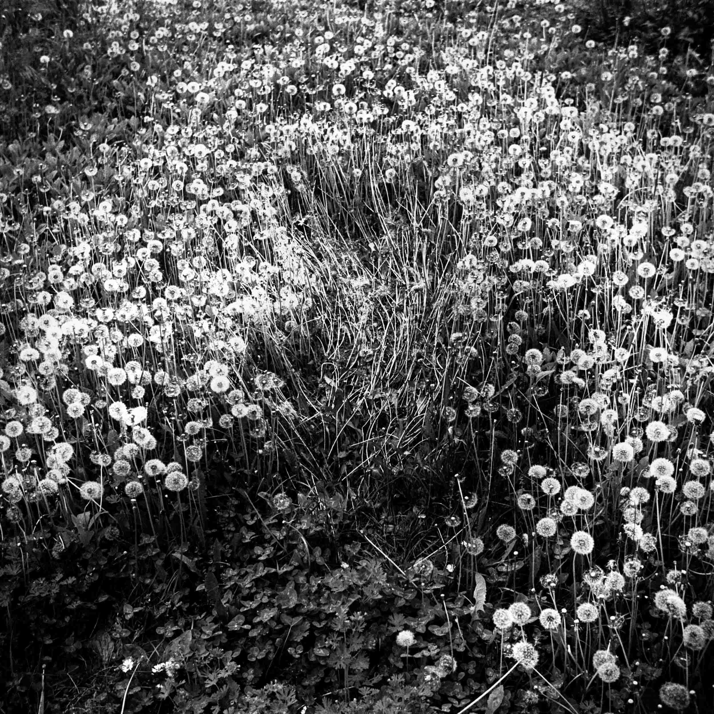 A poetic journey_Geert Broerjes-31.jpg