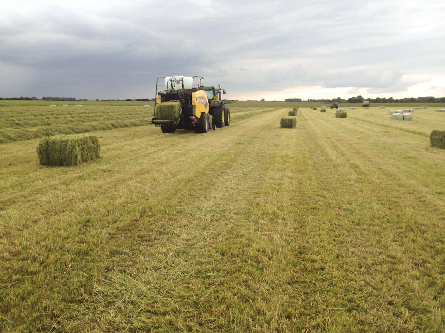 big-baling-haylage-top-grass-haylage-2_edit.jpg