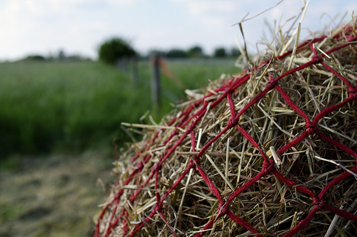 hay-and-field-top-grass-haylage-edit.jpg