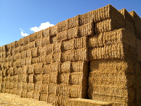 top-grass-haylage-straw.jpg
