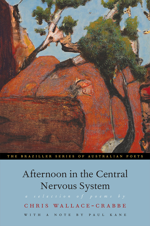 Afternoon in the Central Nervous System