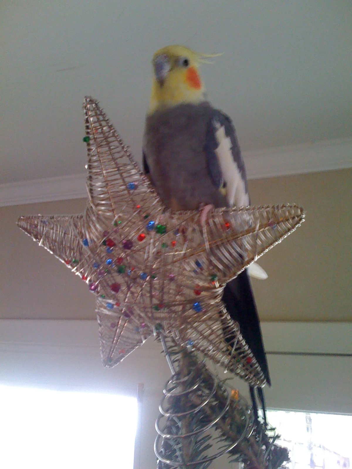 Yager is in the holiday spirit