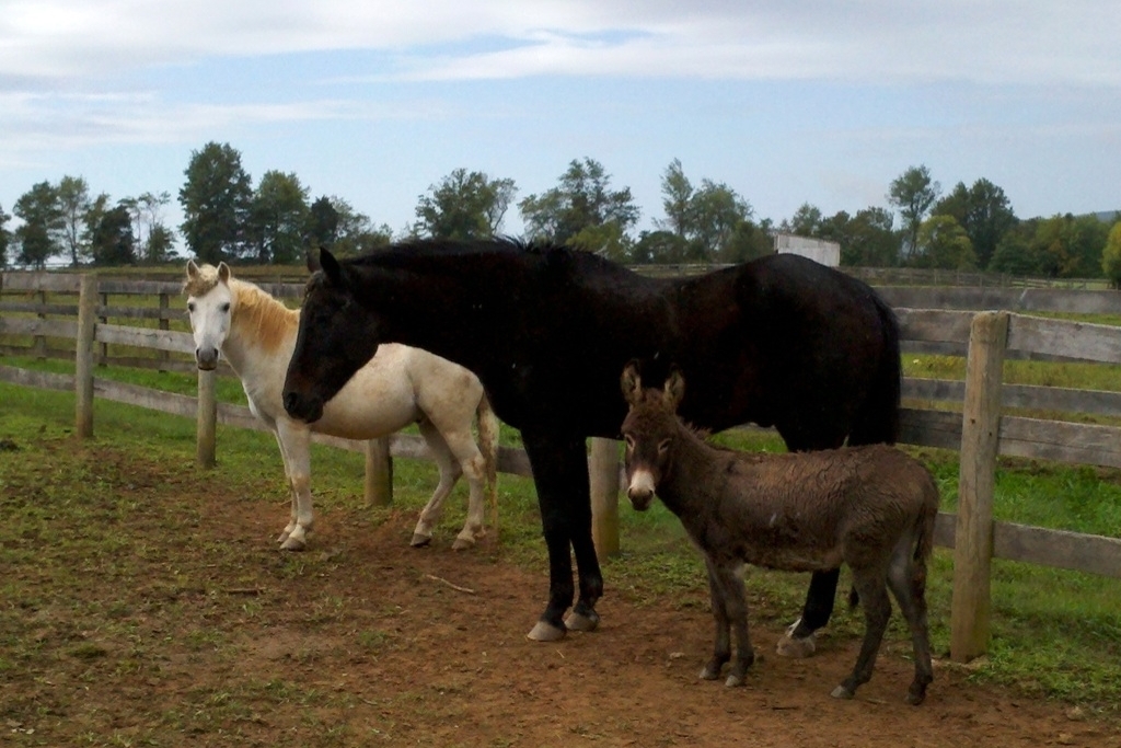 Friends come in all shapes & sizes