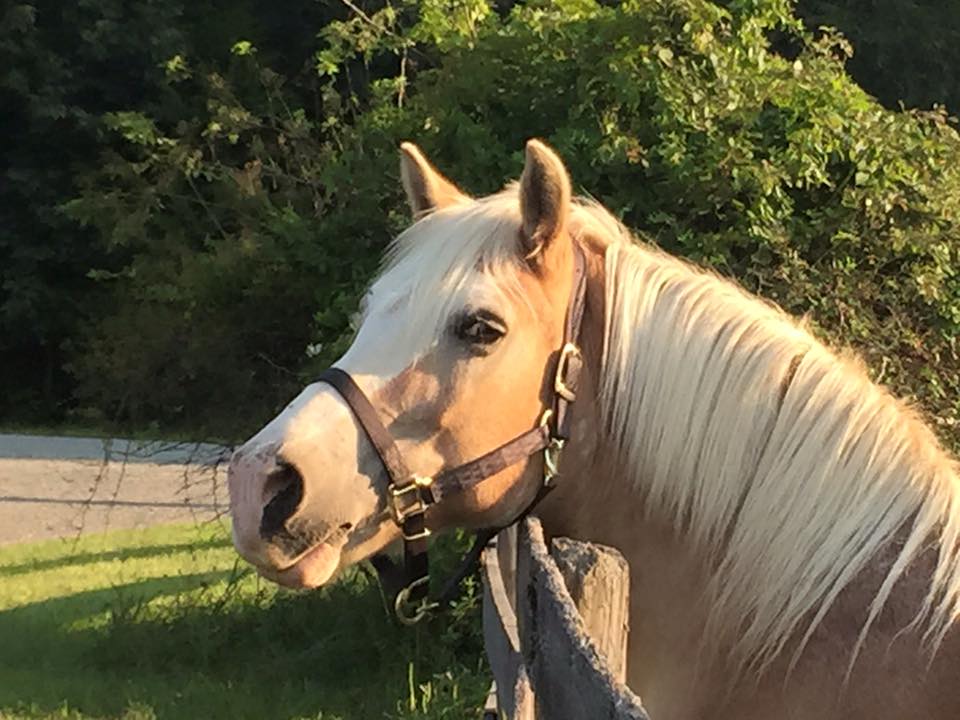  Clover is showing off her beautiful eyes! 