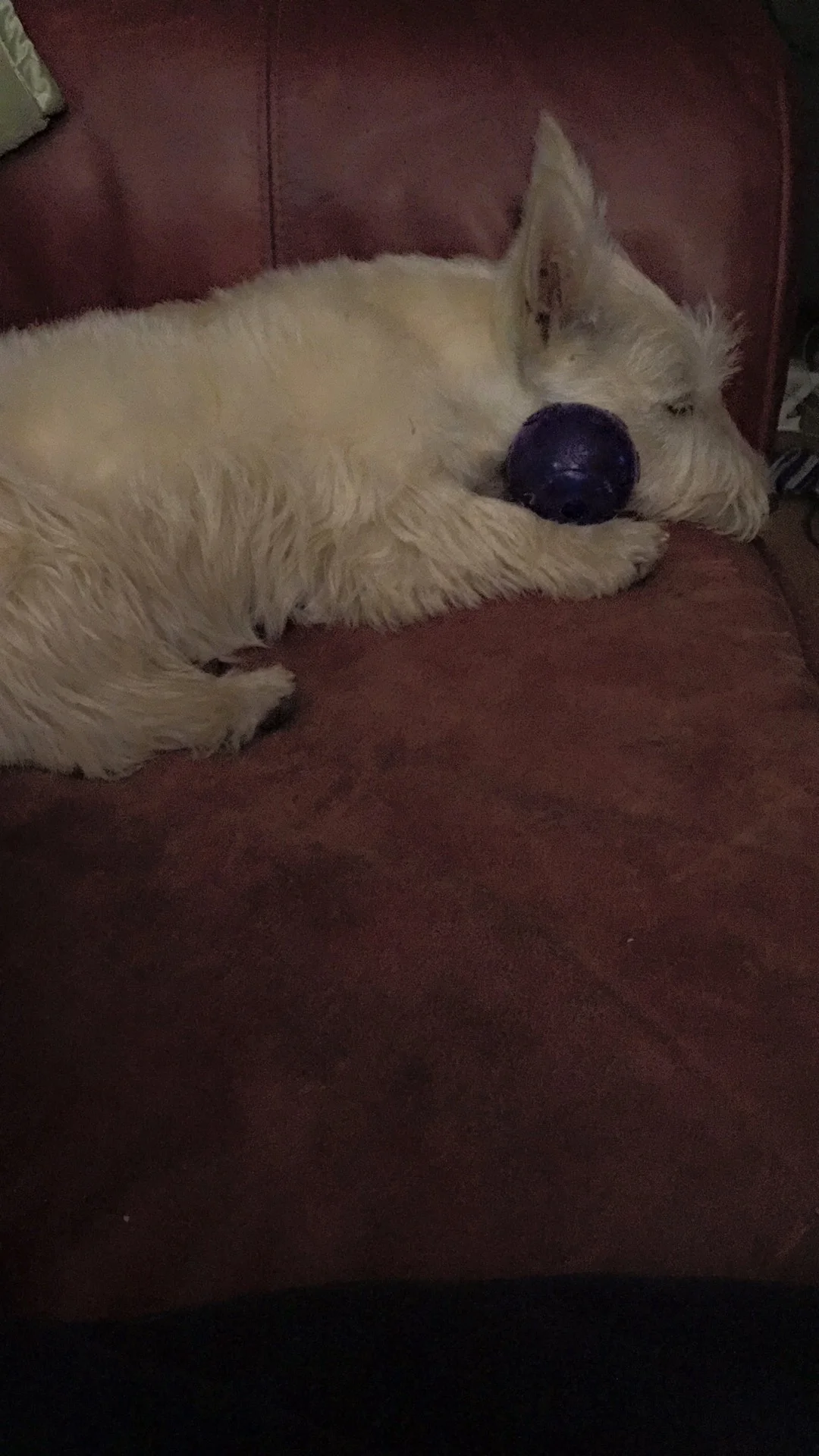  It's a very special ball 