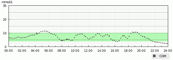 An example of a CGM trace