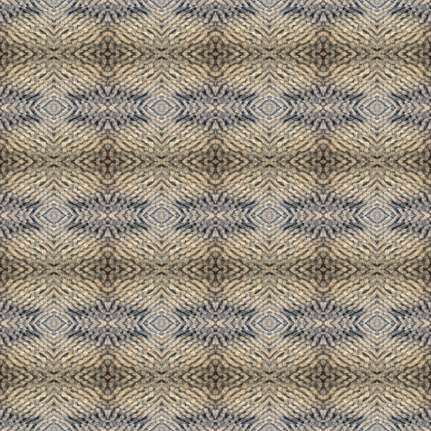 IMG_0211.square.pattern.jpg