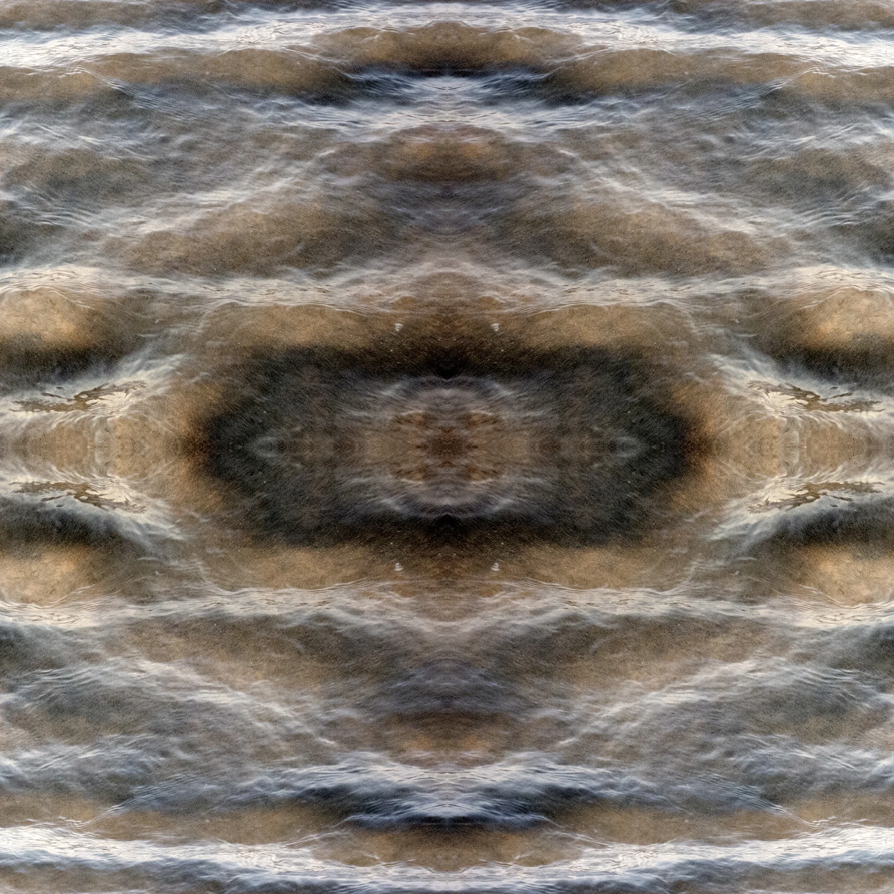 IMG_0208.square.jpg
