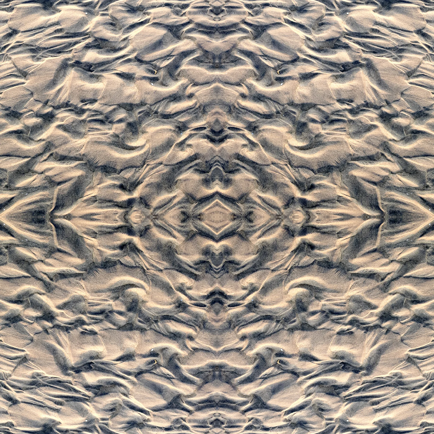 IMG_0201.square.jpg