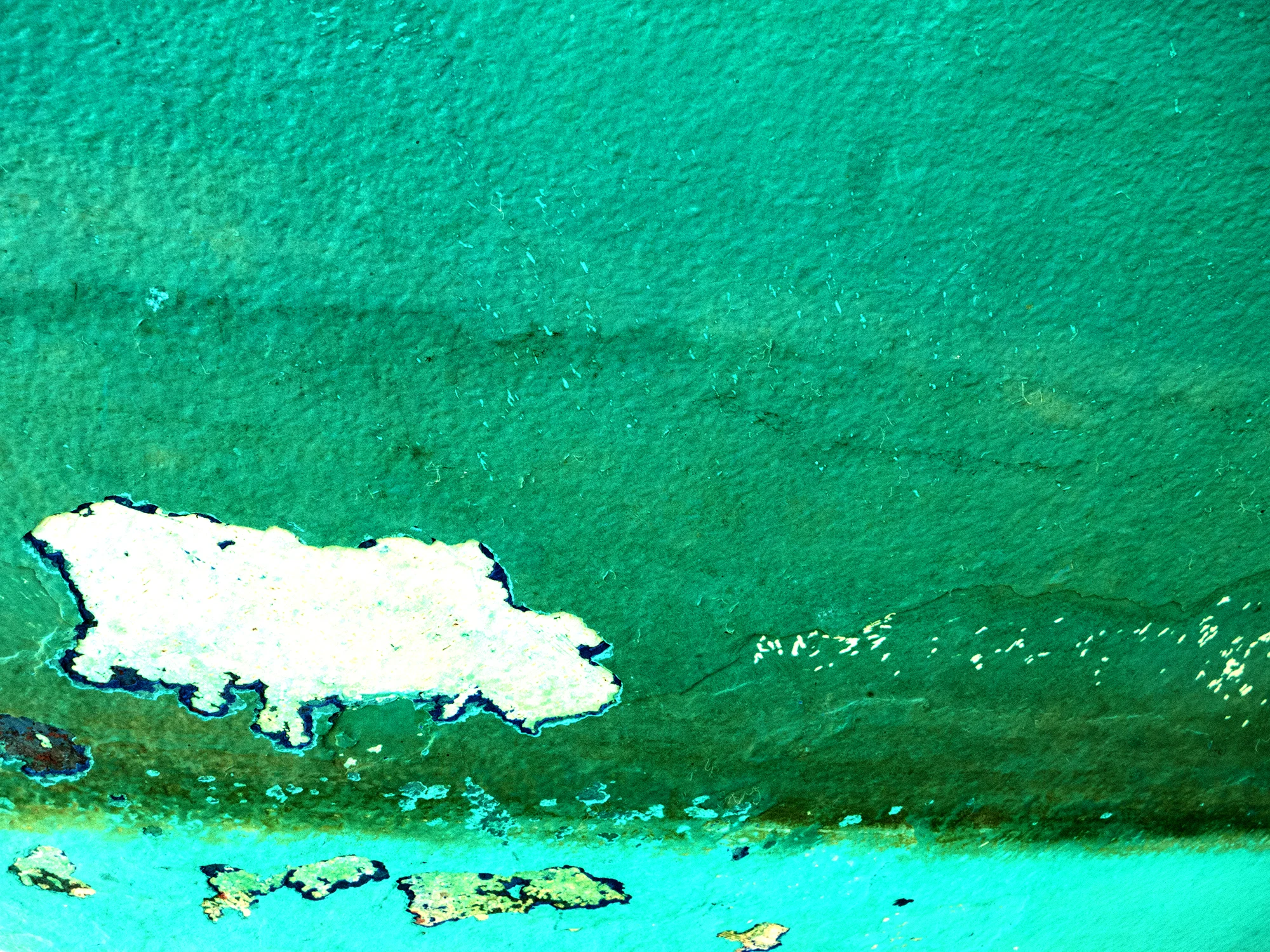 Green Teal, 2015