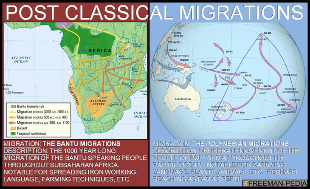 B. Some migrations had a significant environmental impact, including the migraiton of Bantu speaking peoples who facilitated transmission of iron technologies and agricultural techniques in Sub-Saharan Africa, as well as the maritime migrations of the Polynesian peoples who cultivated transplanted foods and domesticated animals as they moved to new islands. 