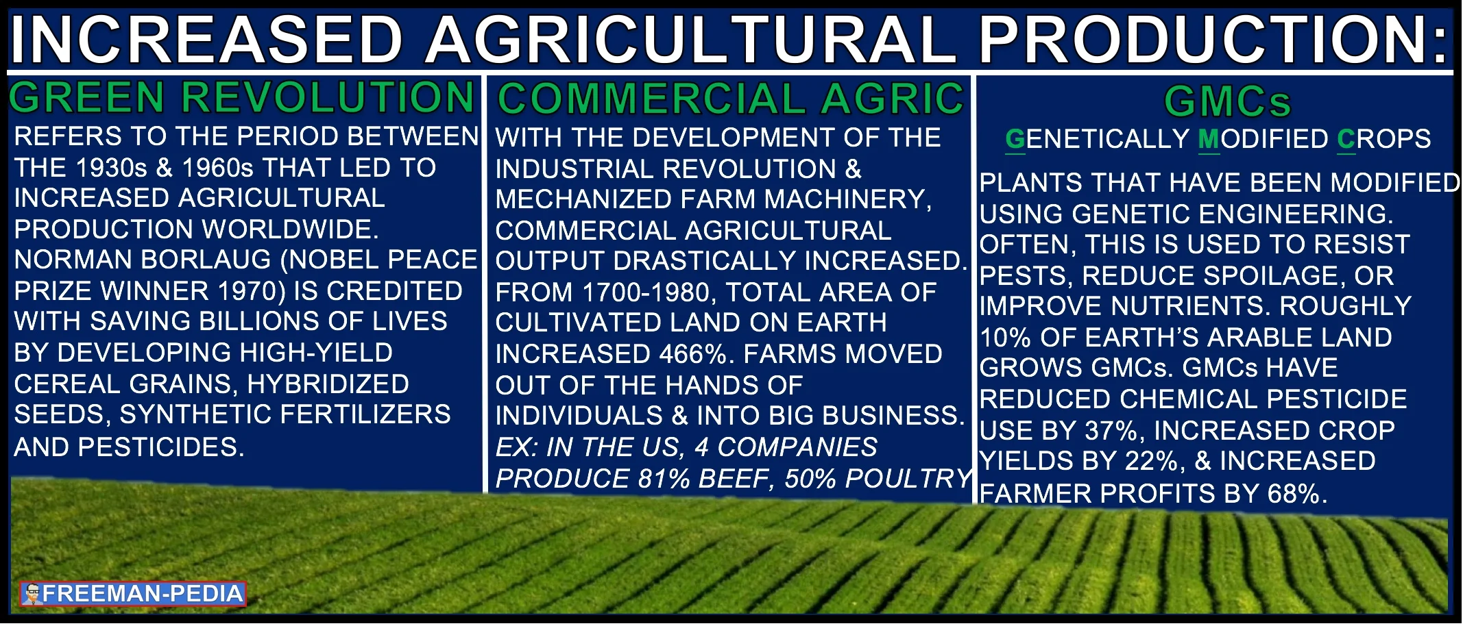 B. The Green Revolution and commercial agriculture increased productivity and sustained the earth's growing population as it spread chemically and genetically modified forms of agriculture.