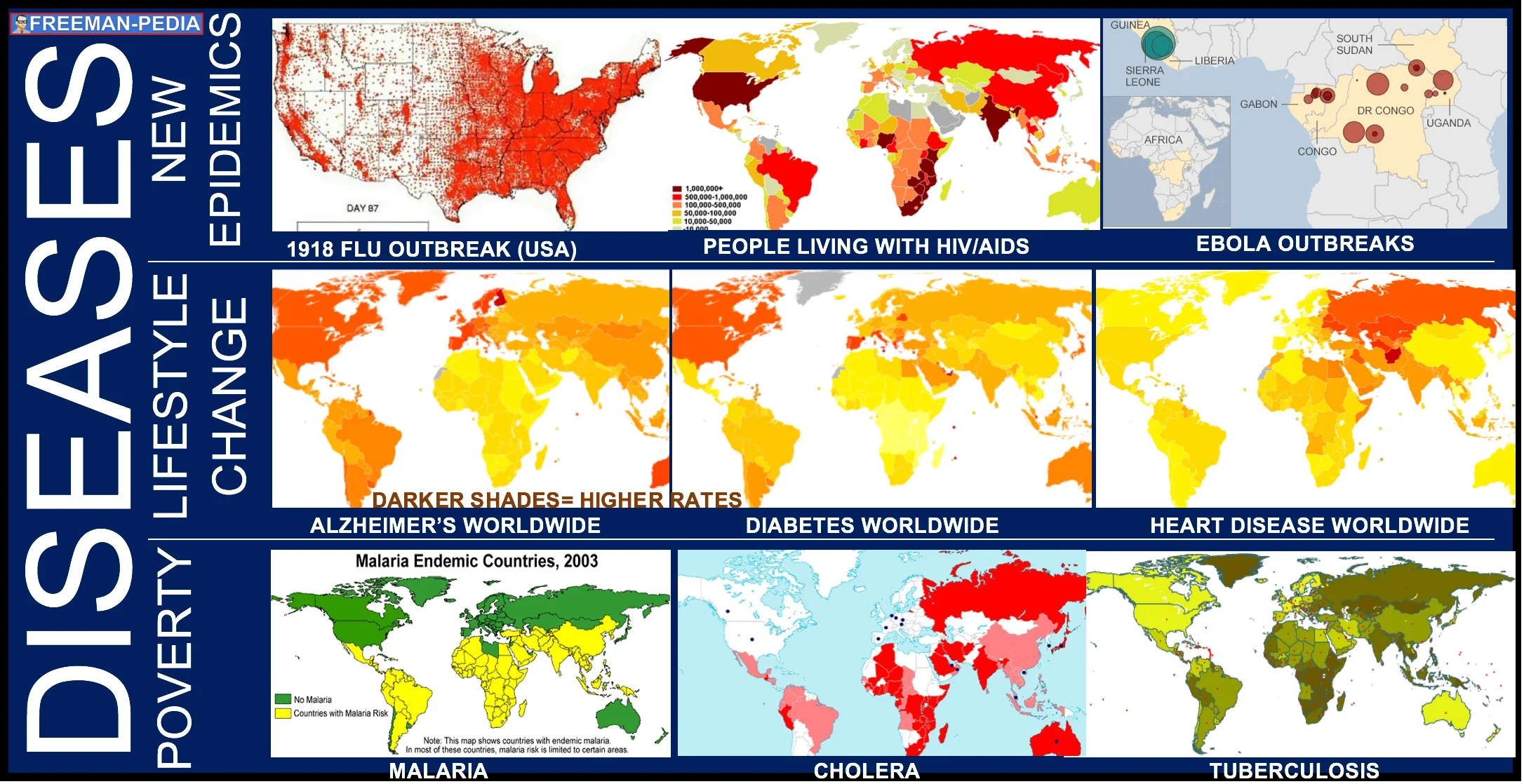 A. Diseases associated with poverty ( Malaria , Cholera , Tuberculosis ) persisted, while other diseases emerged as new epidemics ( 1918 Flu , HIV/AIDS , Ebola ) and threats to human survival. In addition, changing lifestyles ( Diabetes , Heart Disease , Alzheimer's Disease ) and increased longevity led to higher incidence of certain diseases .