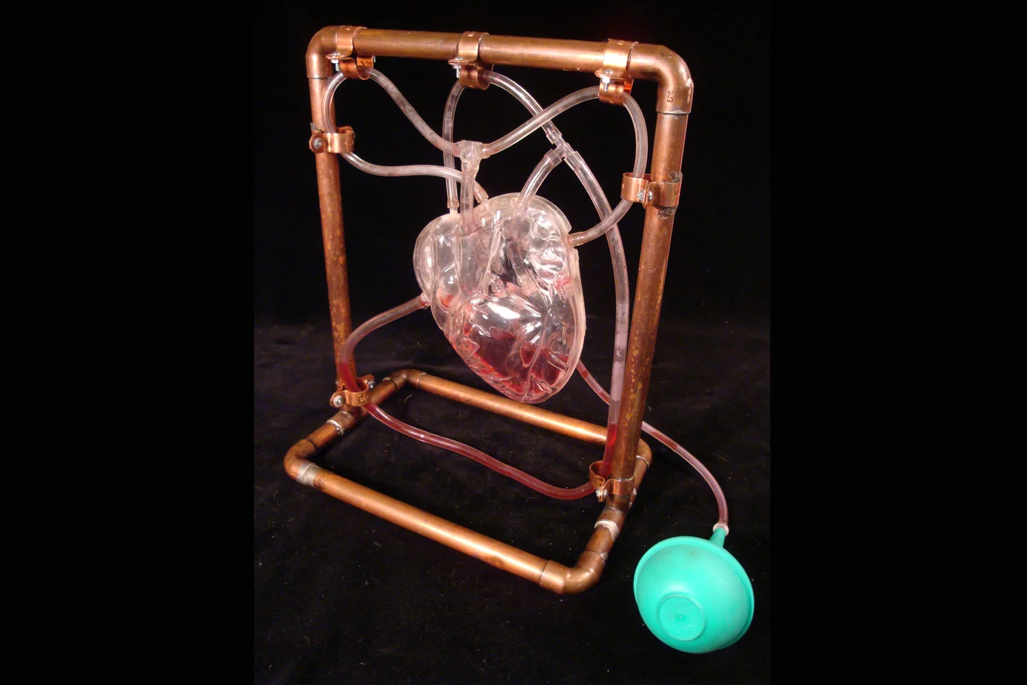 Valentine Science