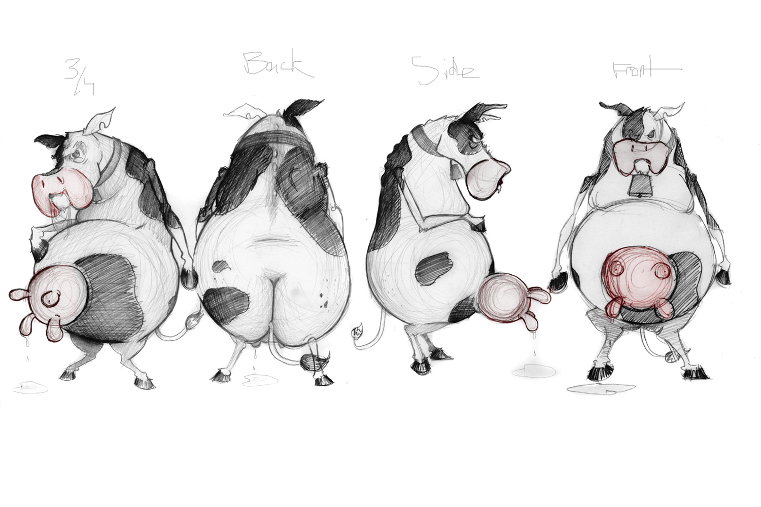 Cow Belly Character Design