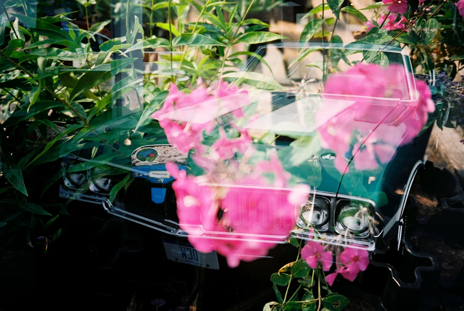 Double Exposure on Film Grand Rapids, MI