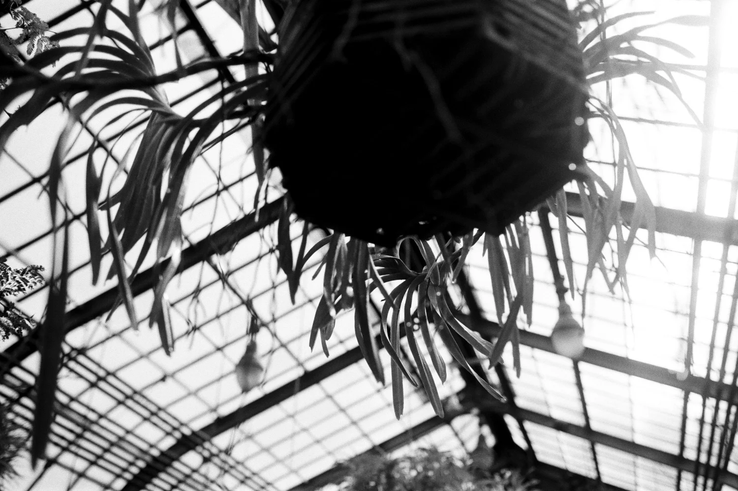 Lincoln Park Conservatory