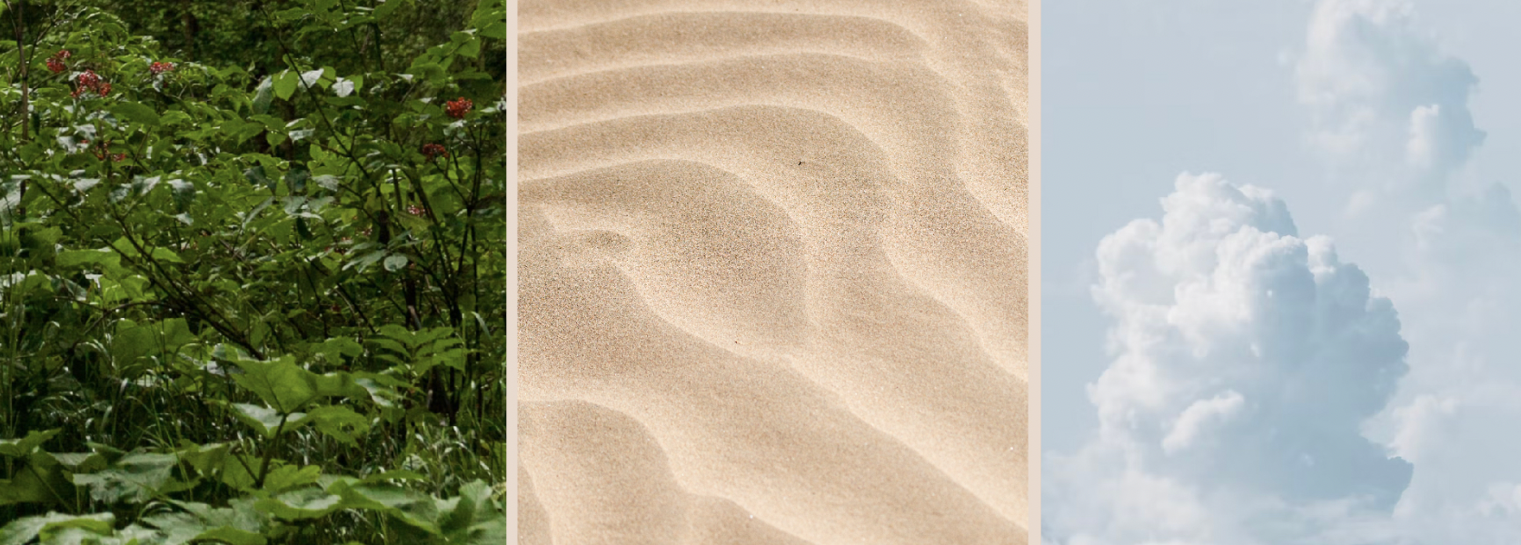 Screen Shot 2026-04-08 at 10.00.49 AM.png