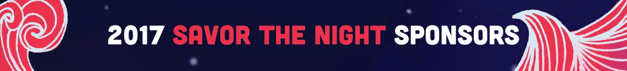 STN2017_Sponsorbanner.jpg