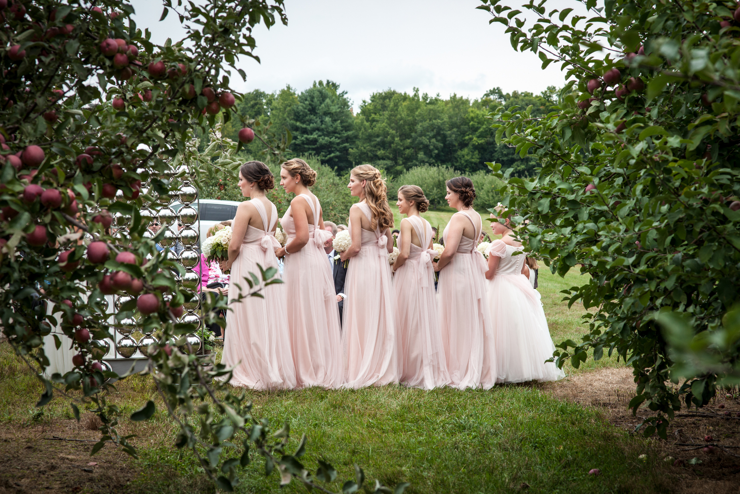 wedding ex-8874.jpg