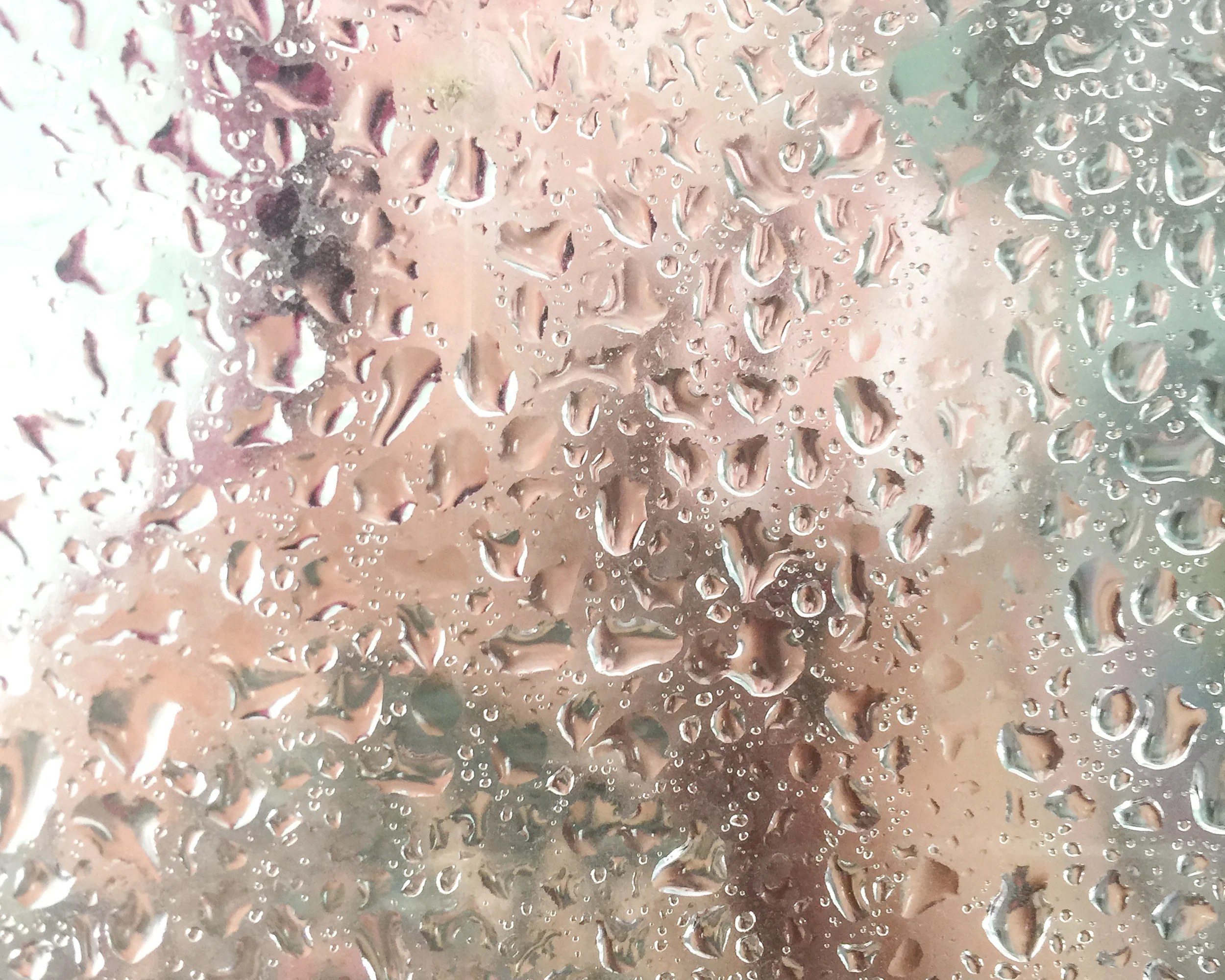 shower-0731.jpg