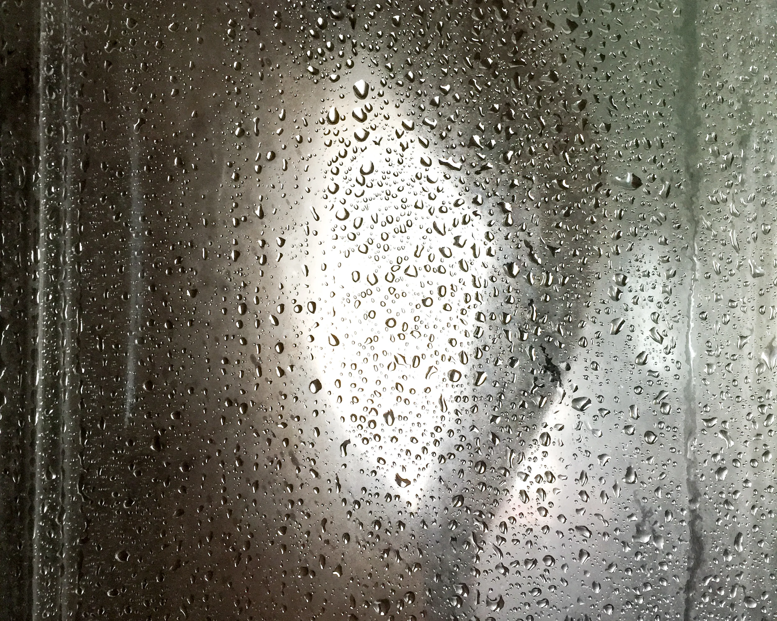 shower-0999.jpg