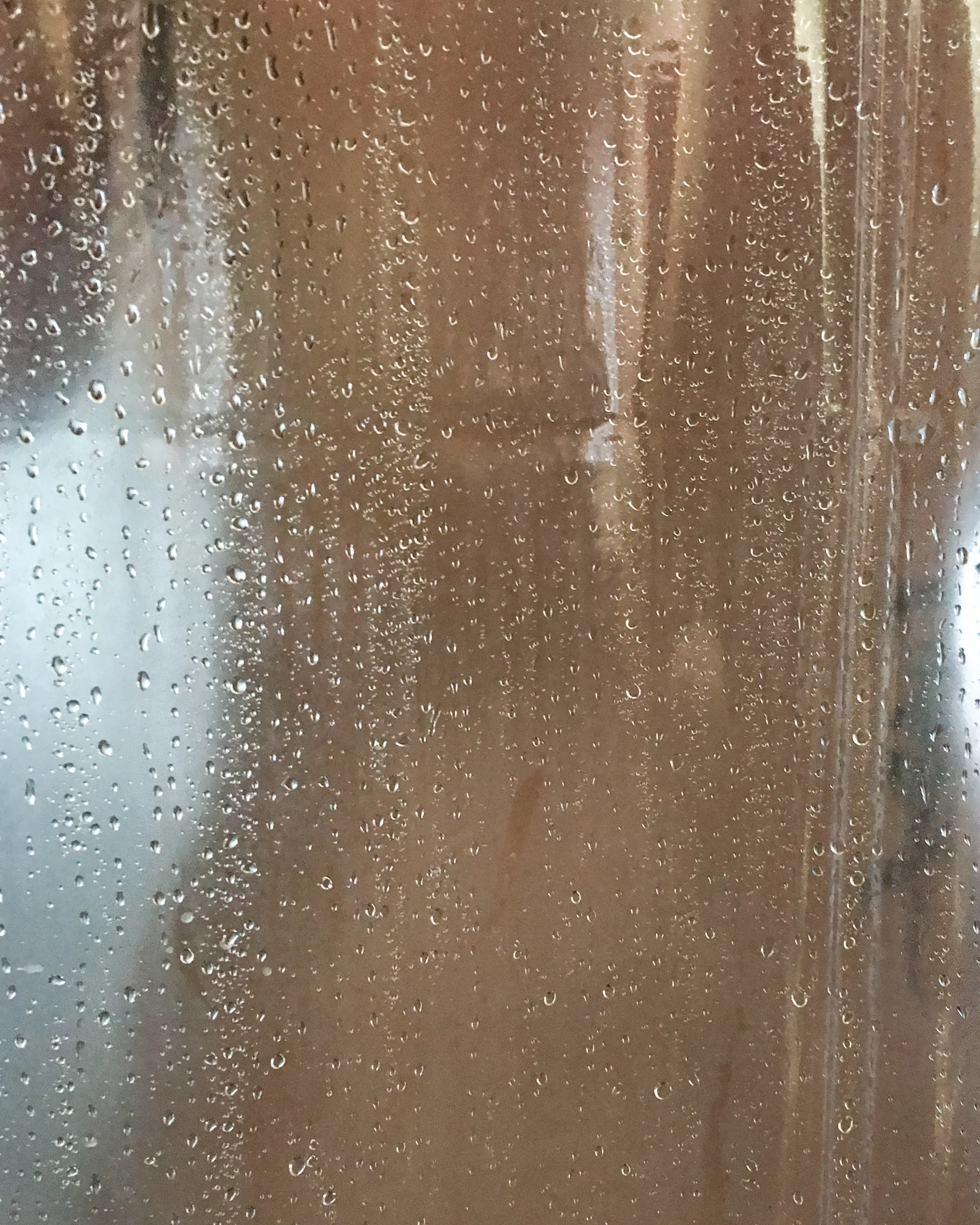 shower-2016.jpg