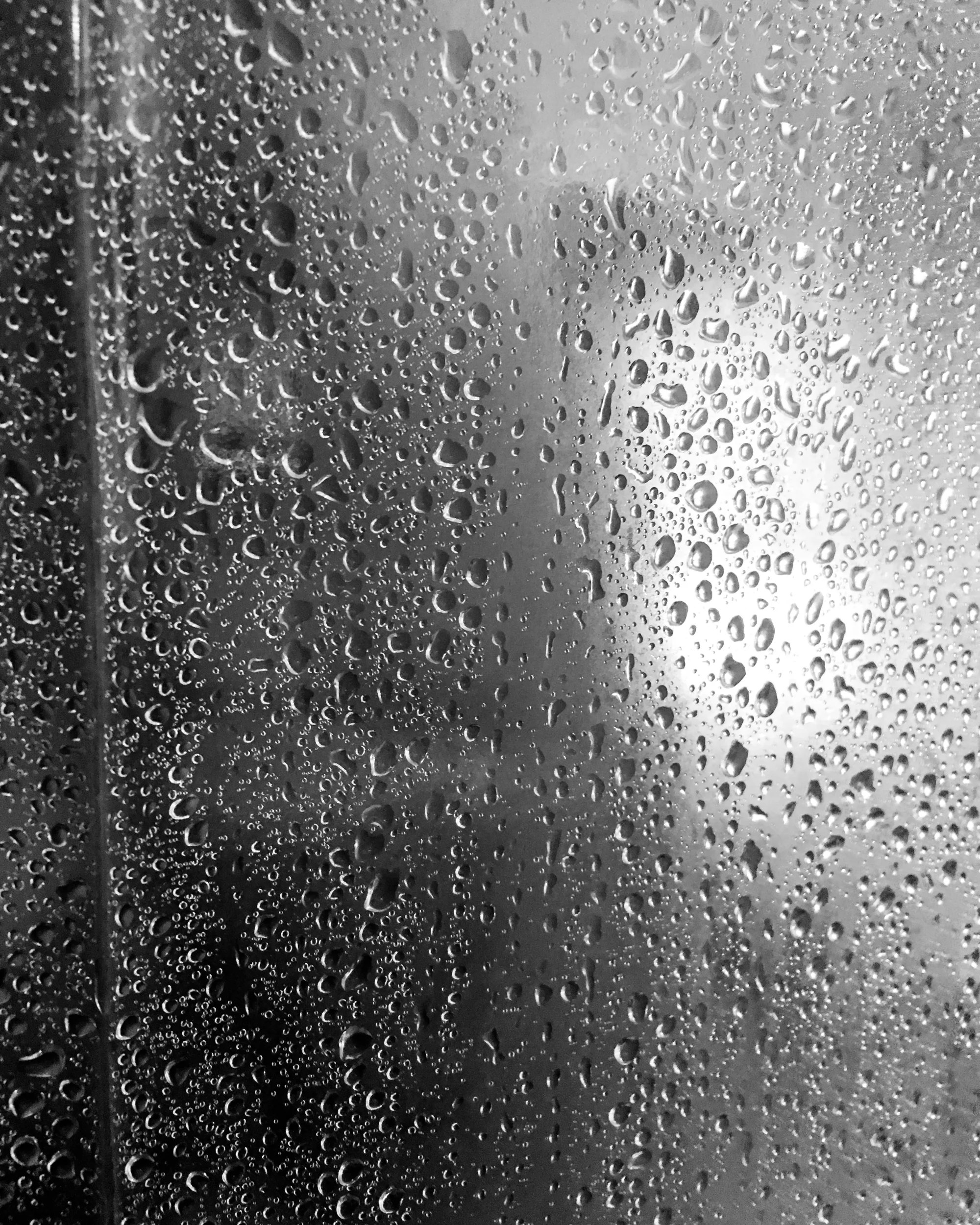 shower-2809.jpg