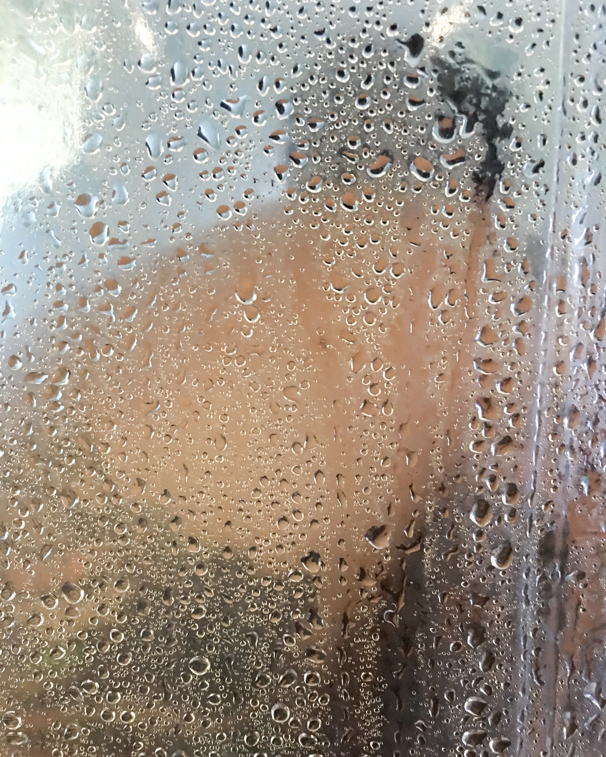 shower-2813.jpg