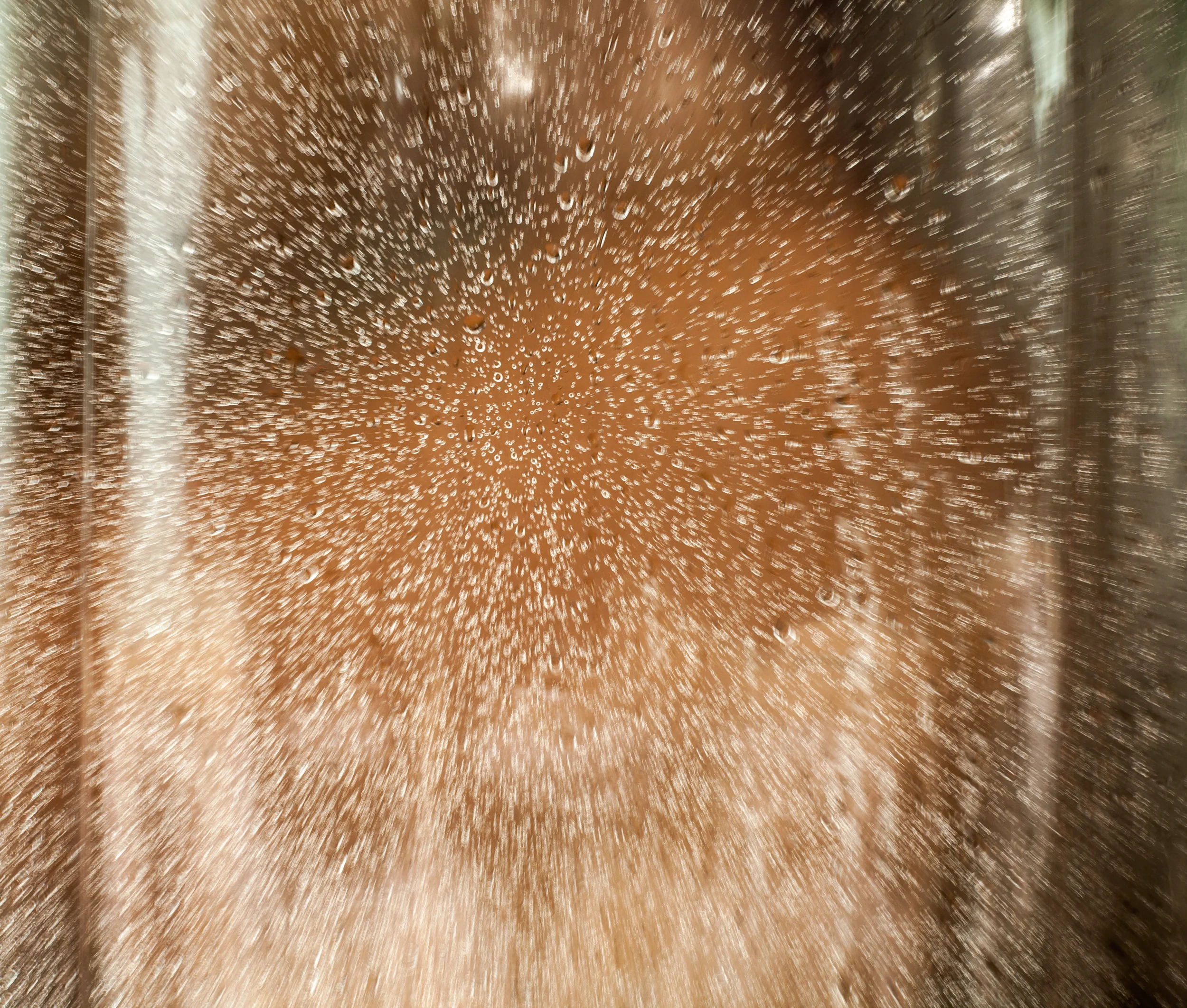 shower-2832.jpg