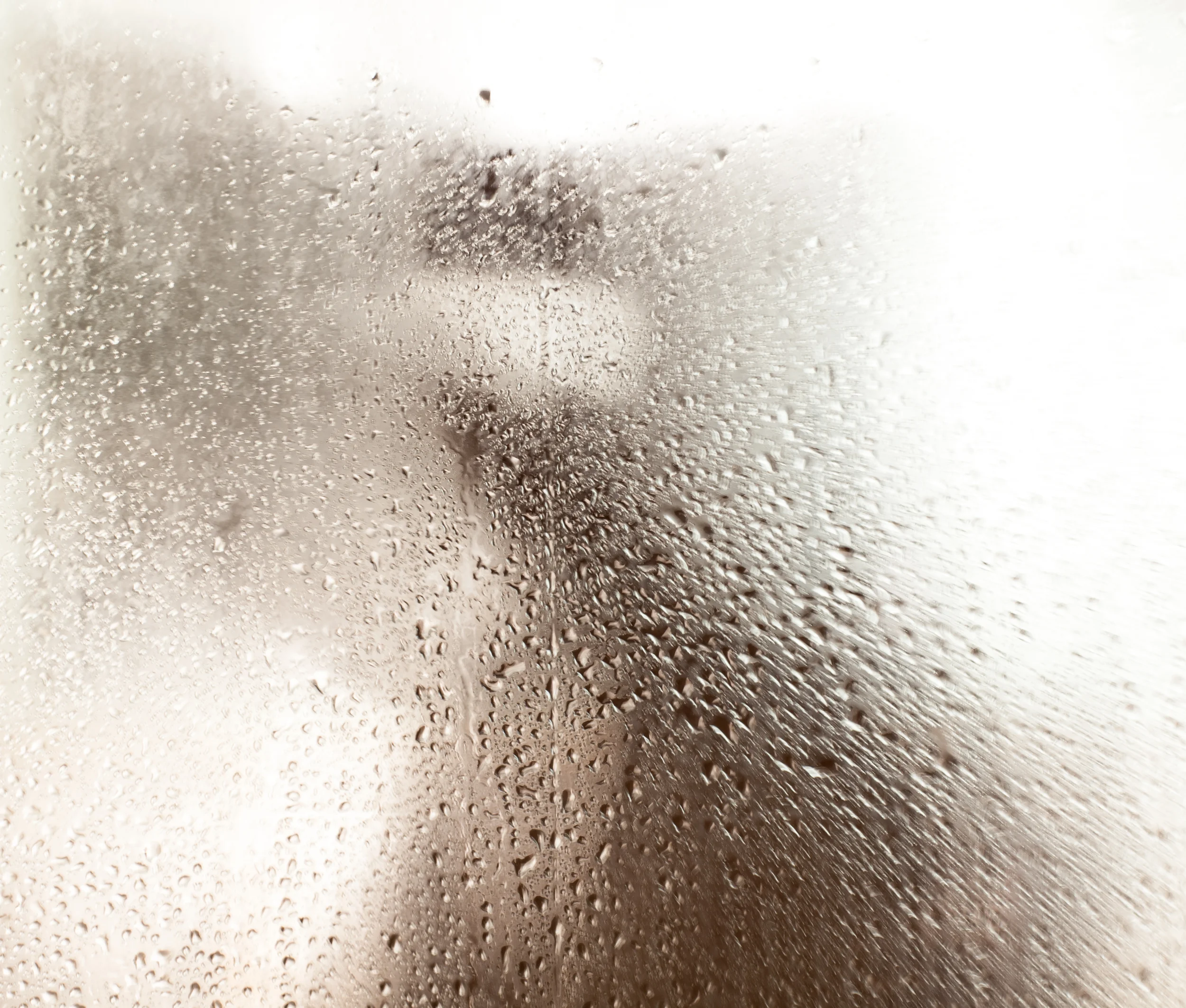 shower-2850.jpg