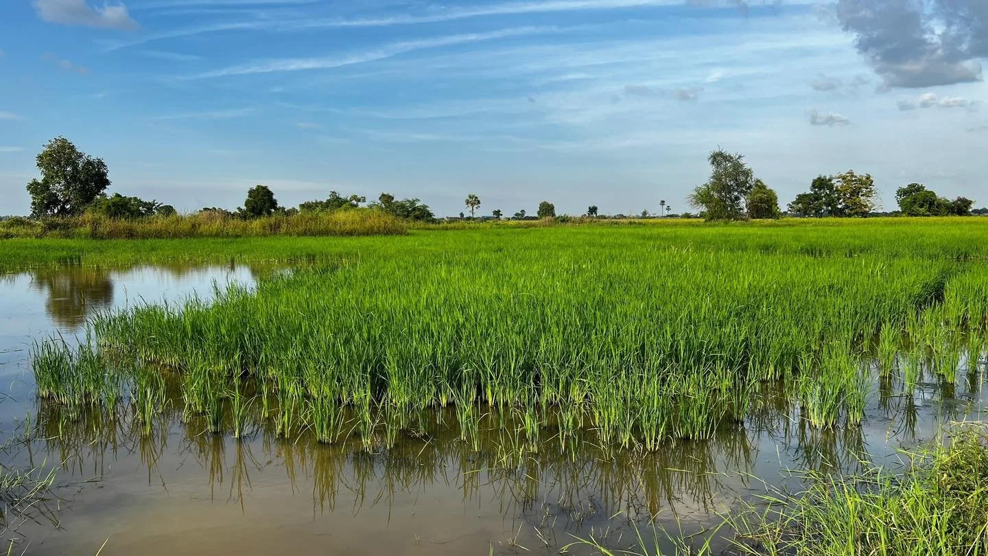 Big things are happening in Cambodia! 🇰🇭

In case you didn&rsquo;t know, we are expanding One 17 International Schools into Cambodia! We are currently hiring passionate leaders to kick off the next school year with energy and purpose. This is an ex
