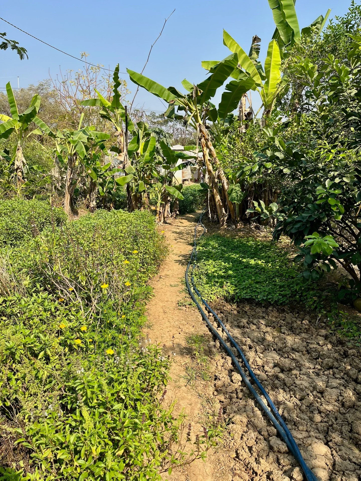 In Cambodia, a mother never had the chance to finish school. At just 8 years old, her education ended. But her story didn&rsquo;t.

Today, she is a mother of three, working tirelessly to support her family through whatever means she can find. Despite
